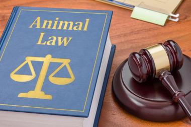 Avocats Droit des animaux Paris